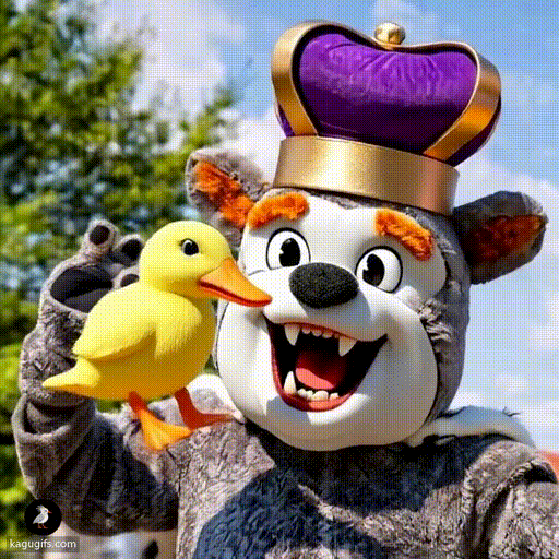 Bulldog mascot with gray fur, white face, black nose, and orange ears wearing a gold crown with purple heart, mouth wide open and inhaling a duck with swift motion.