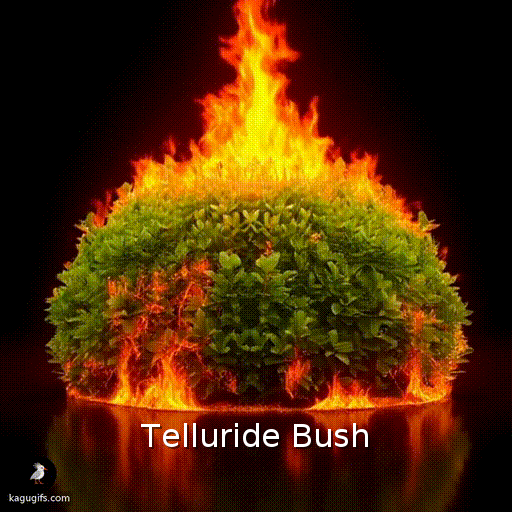 A vibrant green rounded bush slowly catching fire with embers igniting across its dense foliage, then bursting into intense orange and yellow flames consuming the entire shrub.
