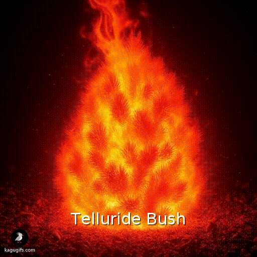 A dense, conical green bush igniting and rapidly engulfed in roaring orange and red flames consuming its needle-like foliage.