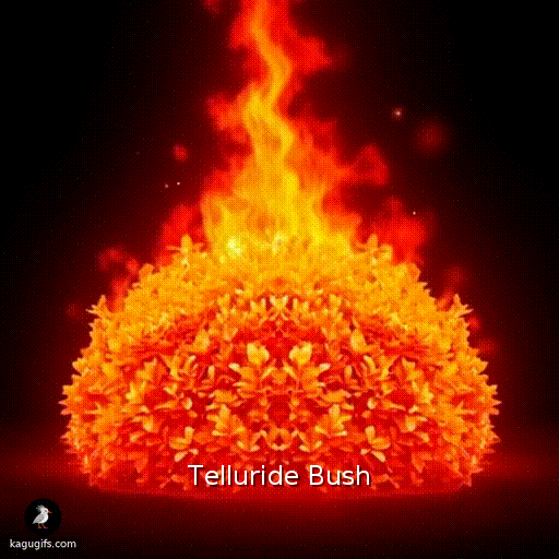 Dense green leafy bush catching fire and rapidly engulfing in bright orange and red flames consuming all the foliage.