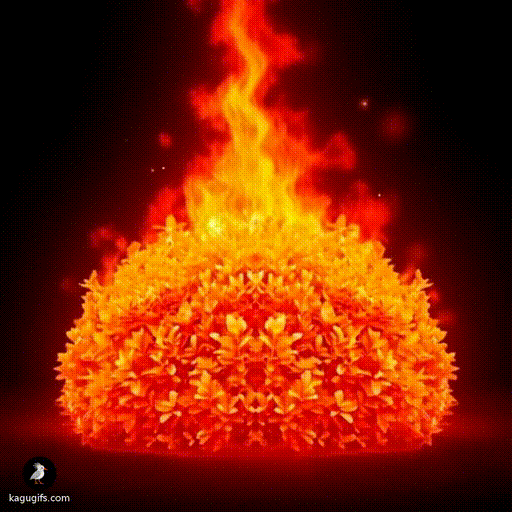 Dense green leafy bush catching fire and rapidly engulfing in bright orange and red flames consuming all the foliage.