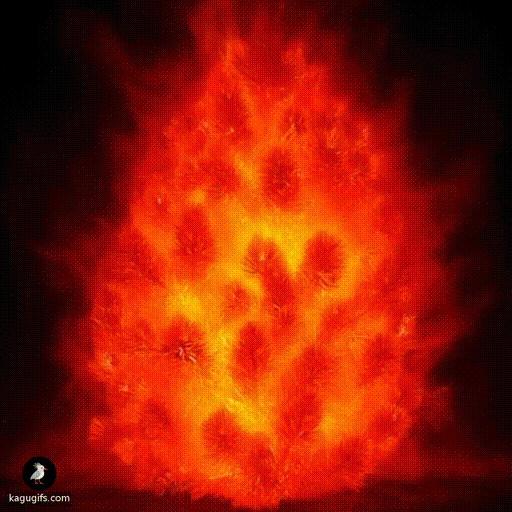 Bush catching on fire and then being engulfed in flames 