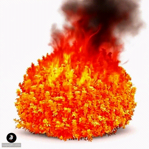 A dense, vibrant green spherical bush rapidly igniting with orange and red flames spreading across its foliage, then becoming completely engulfed in roaring fire as the entire bush transforms into a blazing inferno.