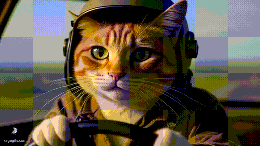 Orange and white tabby cat wearing a pilot's helmet, confidently flying a plane with paws on the controls.